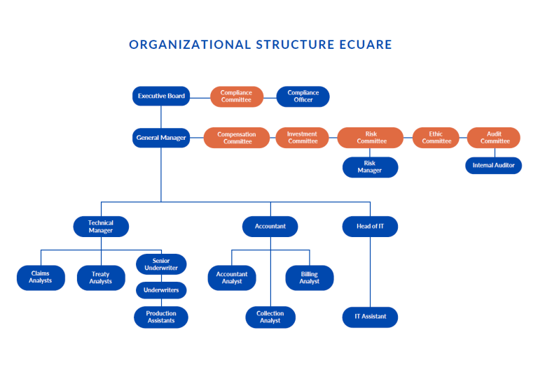 Organizational structure EcuRe