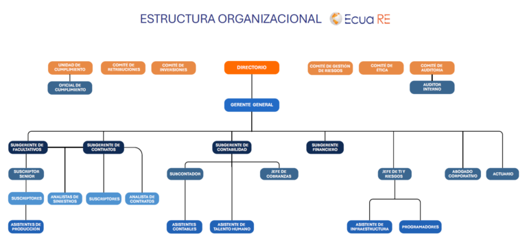 Estructura Organizacional