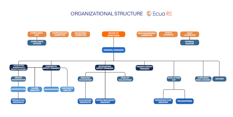 Organizational Structure